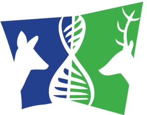 logo projektowe